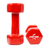 gym equipment dumbbells 3 kg